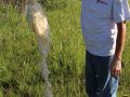 img 59305