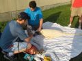 img 0445