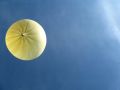 img 5377