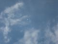 img 3127