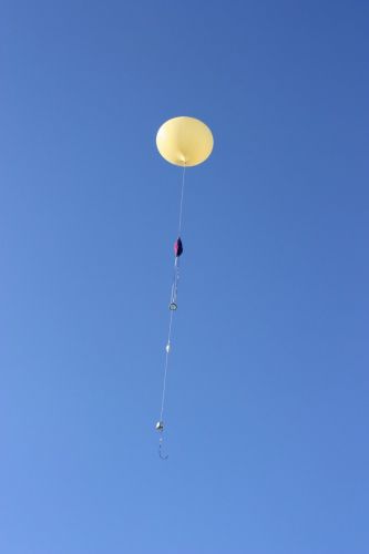 img 3675