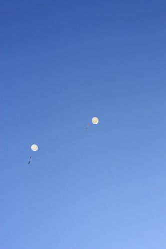 img 3699