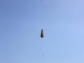 img 3758 img 3758