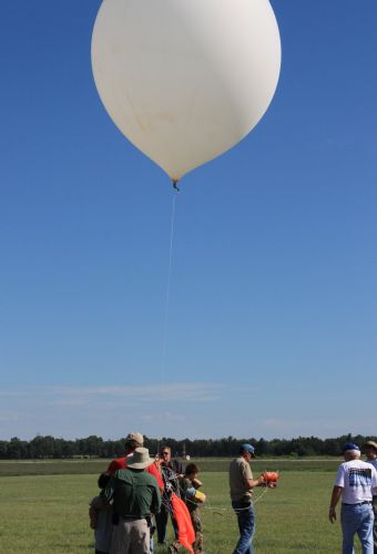 img 3776