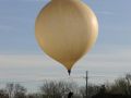 raising capsule
